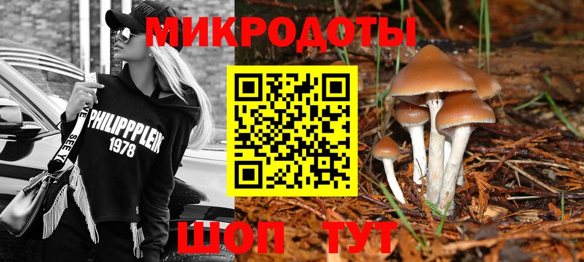 Омск  Галлюциногенные грибы MAGIC MUSHROOMS  Вход с VPN 