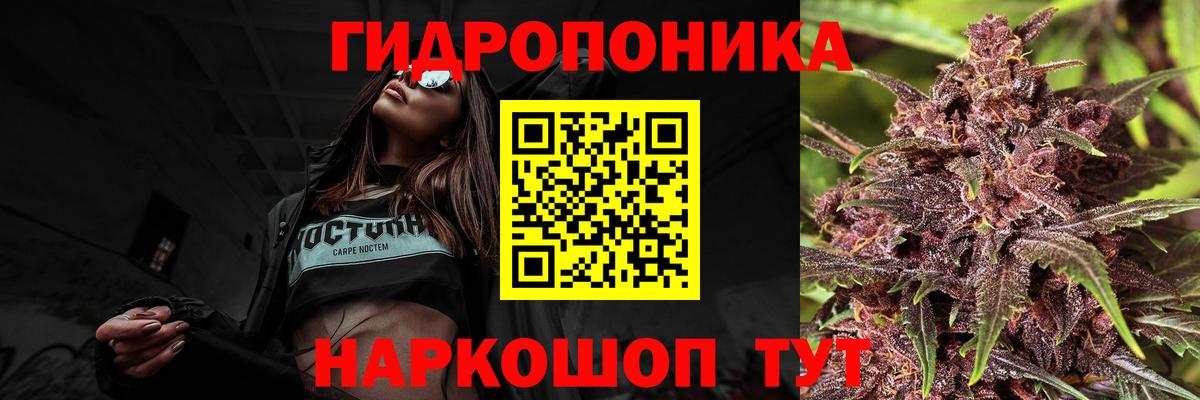 Омск  Канабис индика  Канабис семена  Марихуана сатива  Вход с VPN 